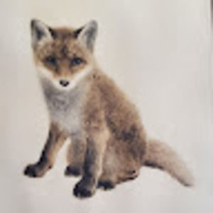 Meet your Posher, Foxtravelreview
